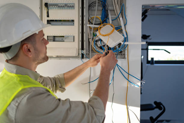 Best Electric Panel Repair  in Nokomis, IL
